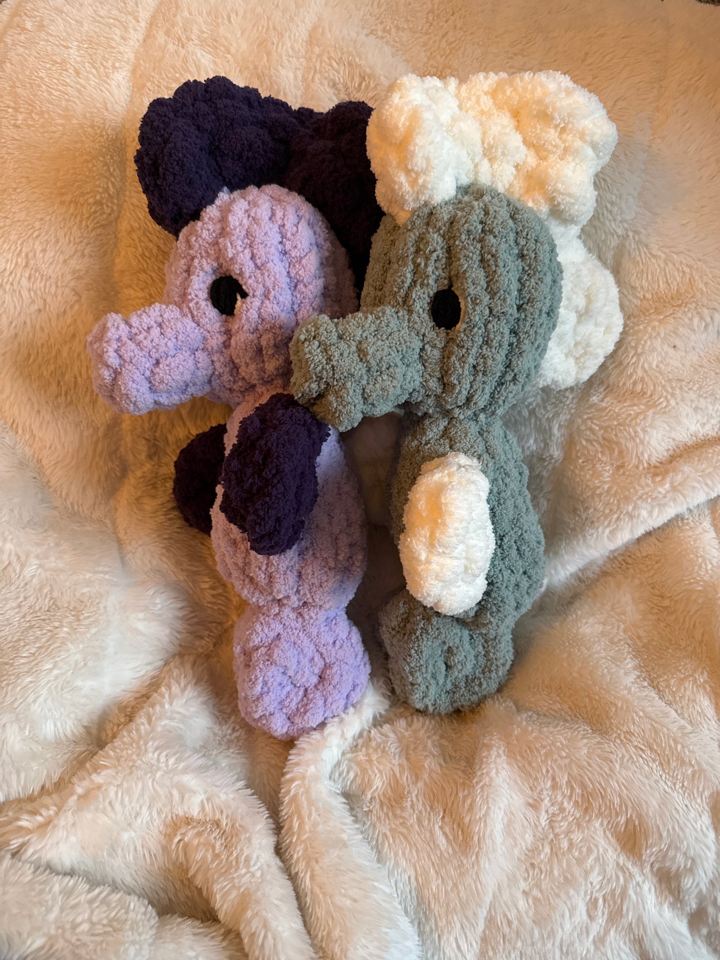 Seahorse friends